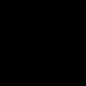 Meet your Posher, Tory